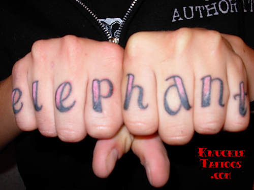 Elephant